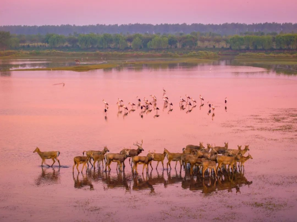 1753756074730791.png s_3cb5cba5abbf4a4f9f7f30ee5ab38ce4.png